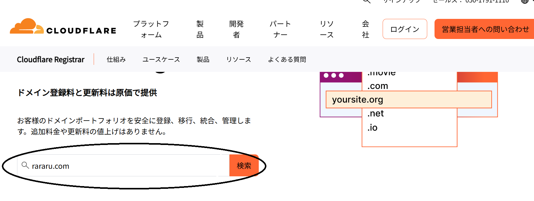 Search for a domain